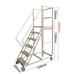 Platform ladder with wheels