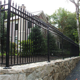 Metal wrought iron fence